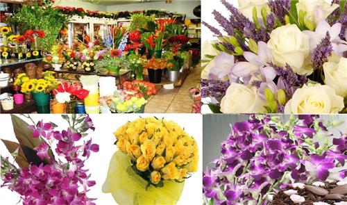 picture Amravati Flowers flower delivery in amravati bouquet
