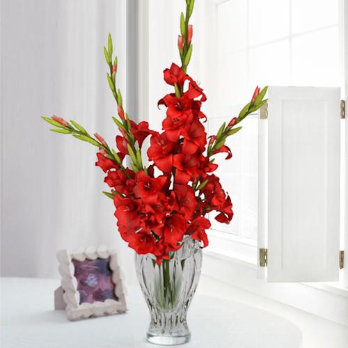 pic Amravati Flowers 1 florist in amravati flowers to