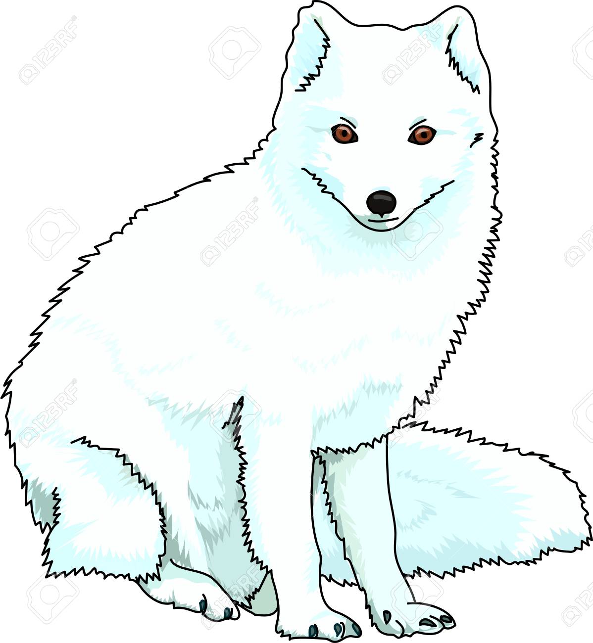photo Arctic Fox Clipart clipart library