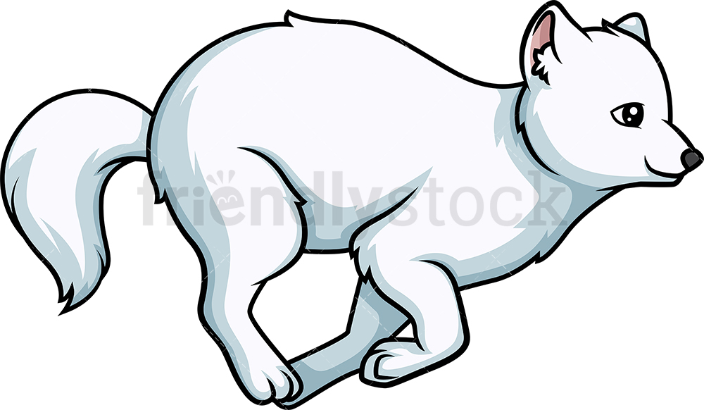 wallpapers Arctic Fox Clipart a blue fluffy arctic fox on a white background