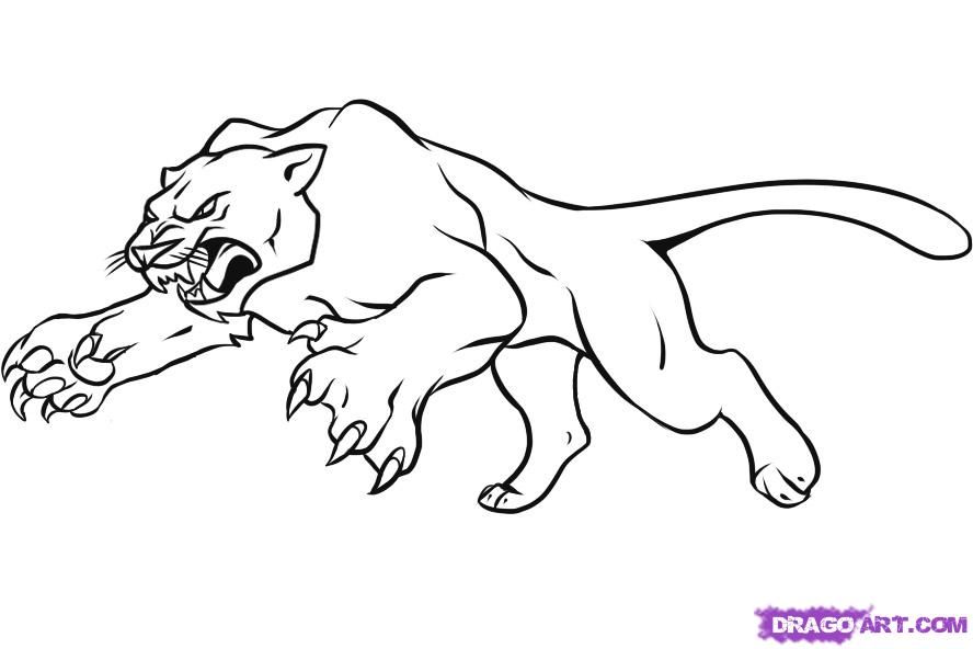 photo Black Panther Animal Drawing Images black panther drawing