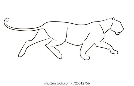 photo Black Panther Animal Drawing Images how to draw a black panther