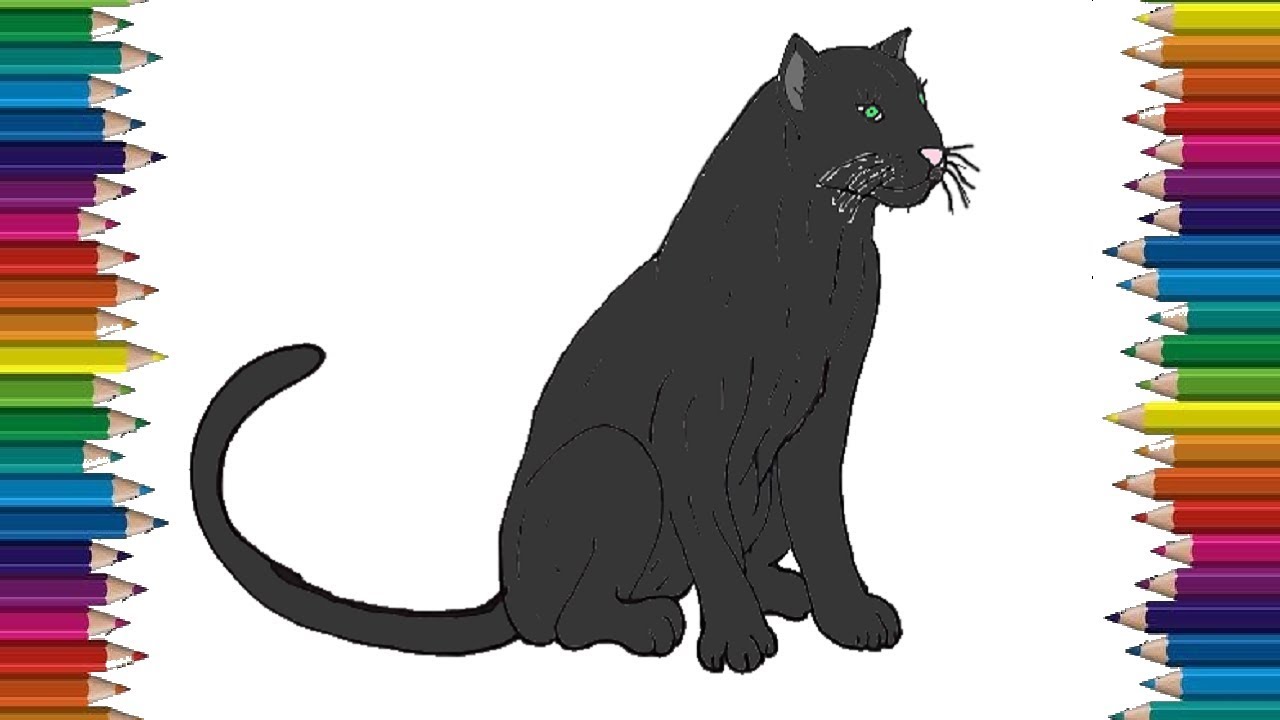 pix Black Panther Animal Drawing Images black panther pencil drawing art print big cat illustration etsy