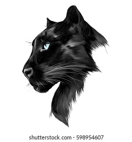 images Black Panther Animal Drawing Images black panther sketchbook big cat