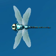pix Blue Dartwing Skyrim my alchemy lab making the wrong potions