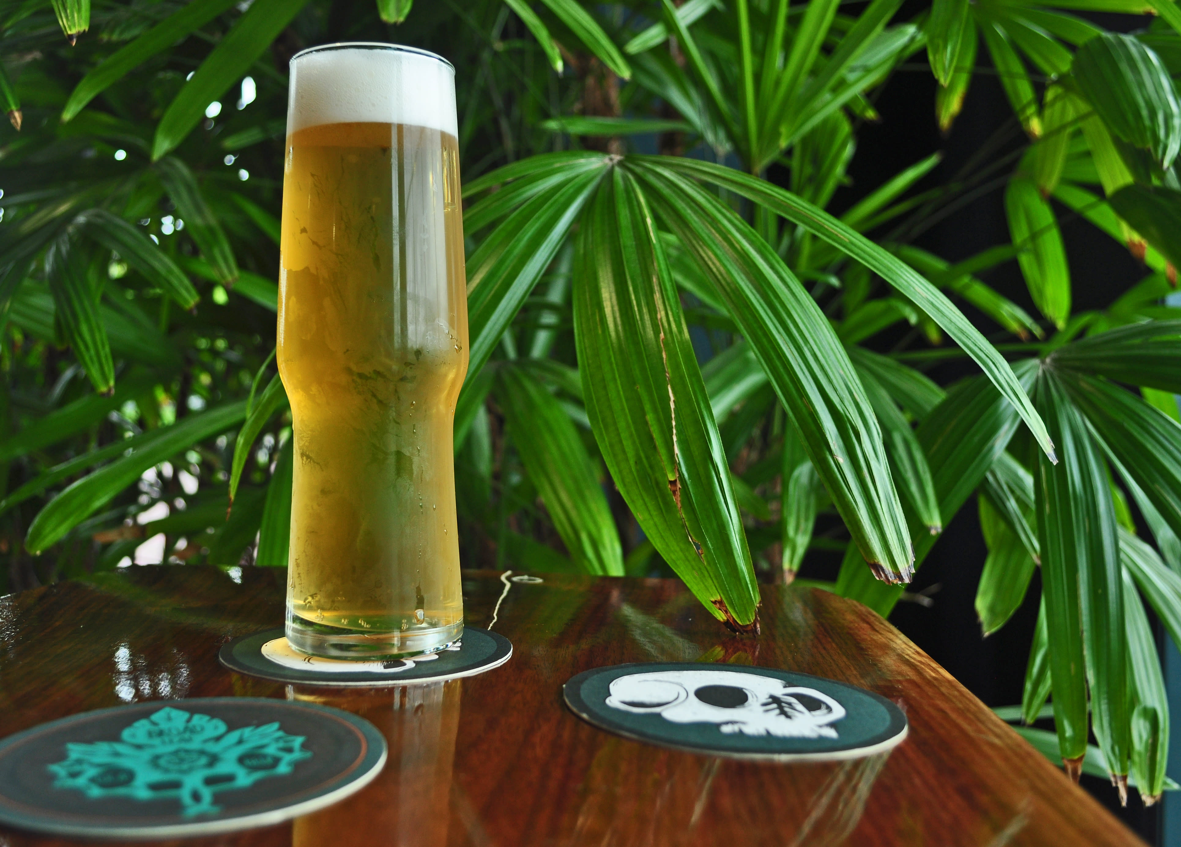 images Broad Leaf Local Beer broad leaf brewery vivant