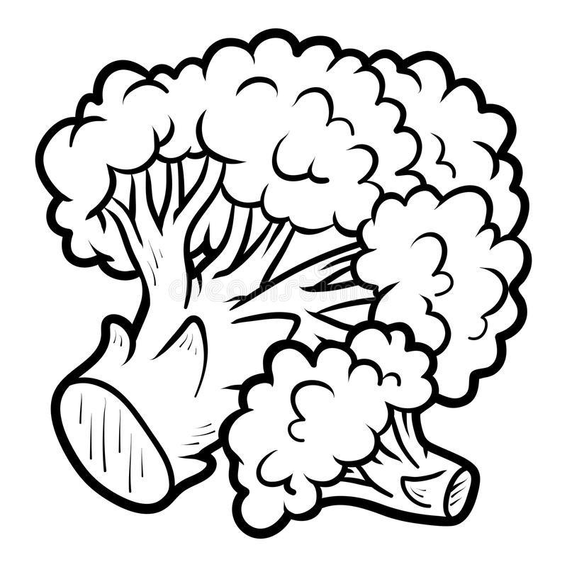 pix Broccoli Clipart Black And White broccoli stock illustrations 30 206