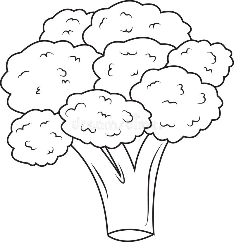 pics Broccoli Clipart Black And White carrot broccoli and tomato in black and white vector illustration