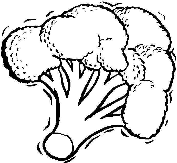 images Broccoli Clipart Black And White broccoli stock illustration