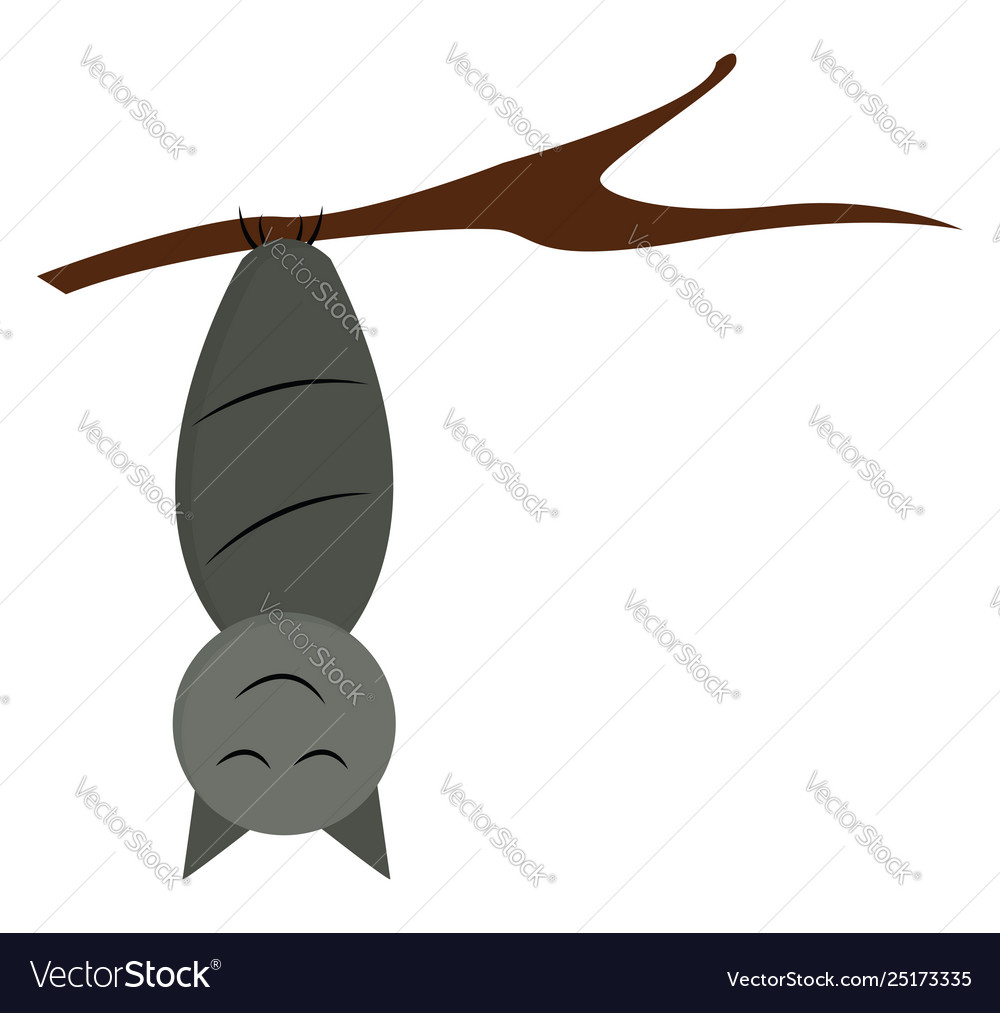 pics Cartoon Bat Hanging Upside Down funny bat hanging upside down on tree branch wrapped in its wings