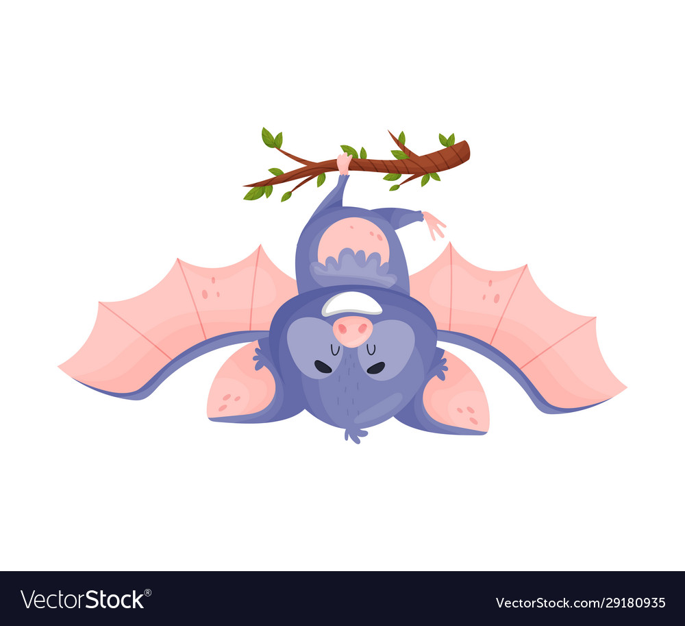 picture Cartoon Bat Hanging Upside Down dreamstime com