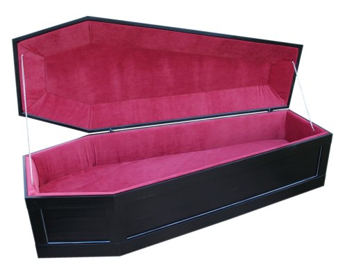pics Casket Bed Frame 8 diy gothic bed ideas furniture