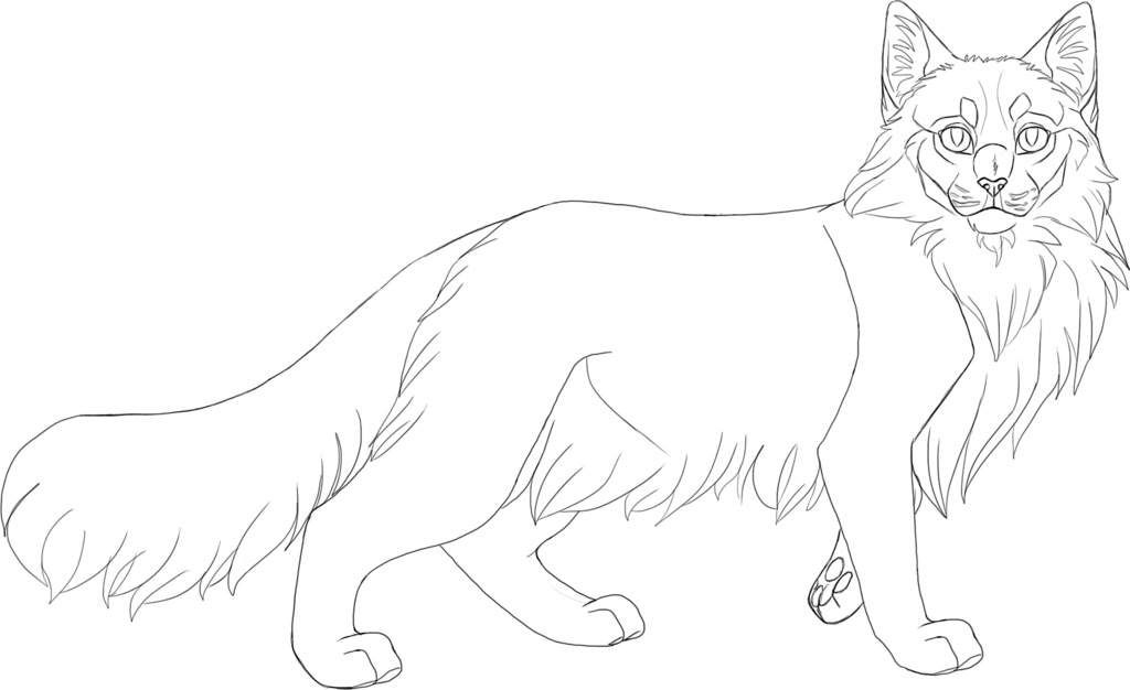 pic Cat Warrior Base f2u warrior cat base plz read comments