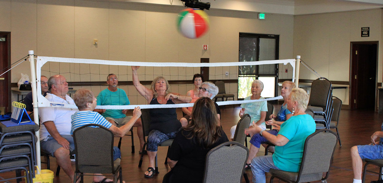 images Chair Volleyball Images mlive com