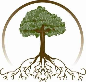 pics Clipart Family Tree With Roots family tree stock illustrations 56