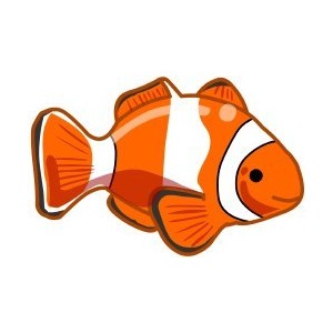 photo Clownfish Clipart image clownfish clipart 1186861