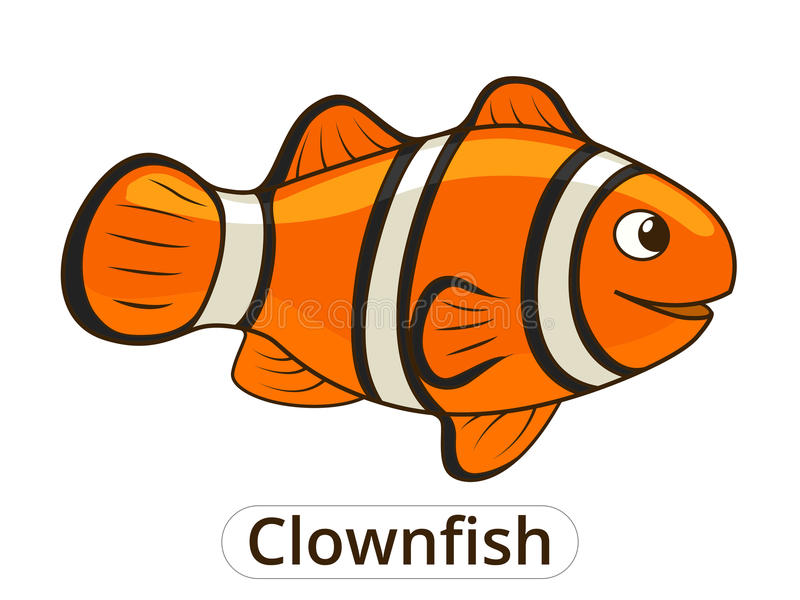 pics Clownfish Clipart reef fish clown fish fish isolated on white background