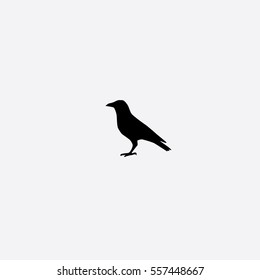 pic Crow Emoji Whatsapp crow icon png transparent background