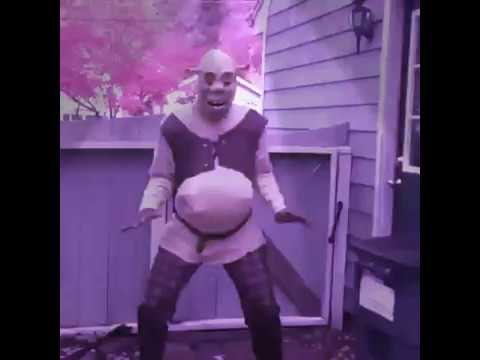 pics Dancing Shrek Gif shrek donkey gif dance image png