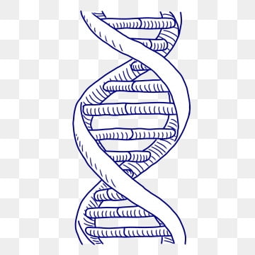 photo Dna Without Background https pngtree com freepng dna helix icon vector illustration 4980356 html