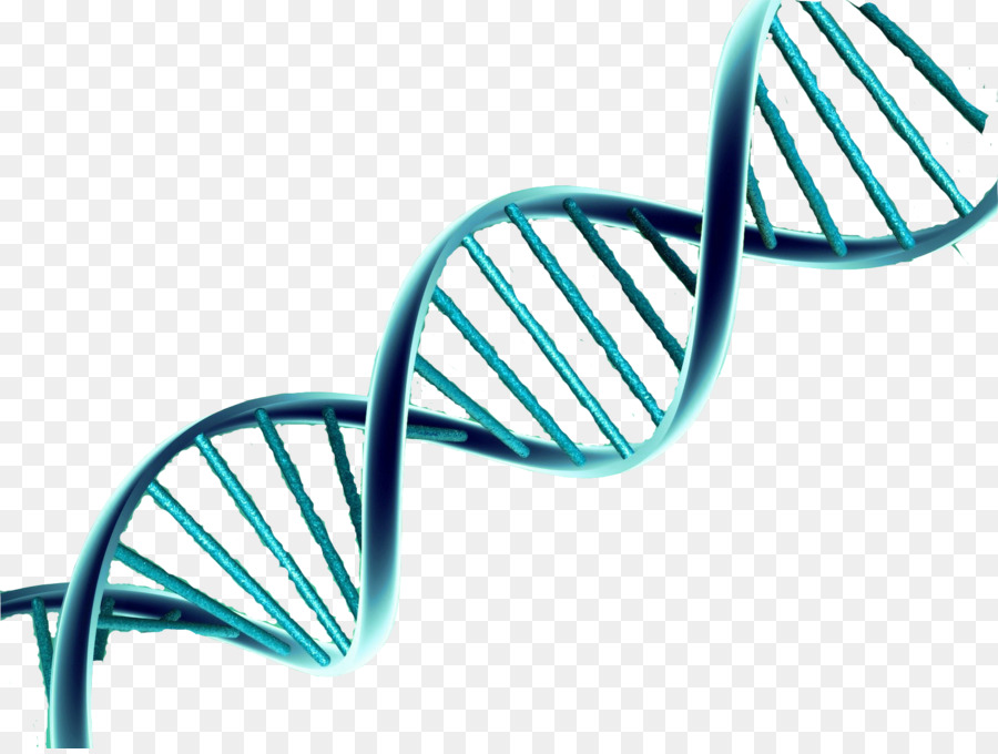 pix Dna Without Background dna helix dna strand dna vector dna