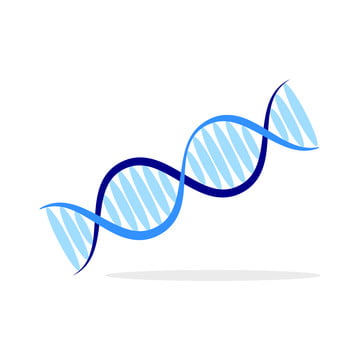 pics Dna Without Background dna png vector psd and clipart with