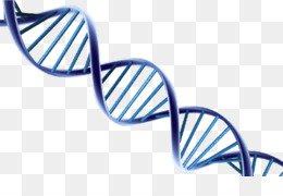 pix Dna Without Background double helix clipart dna transparent