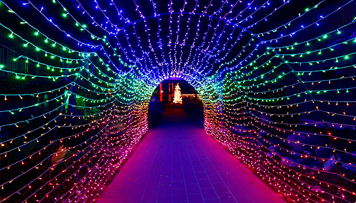 pics Festival Of Lights Newport Beach nights of 1000 lights at sherman