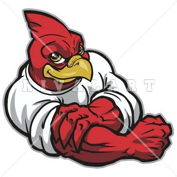 picture Fighting Cardinal Clipart louisville cardinals football