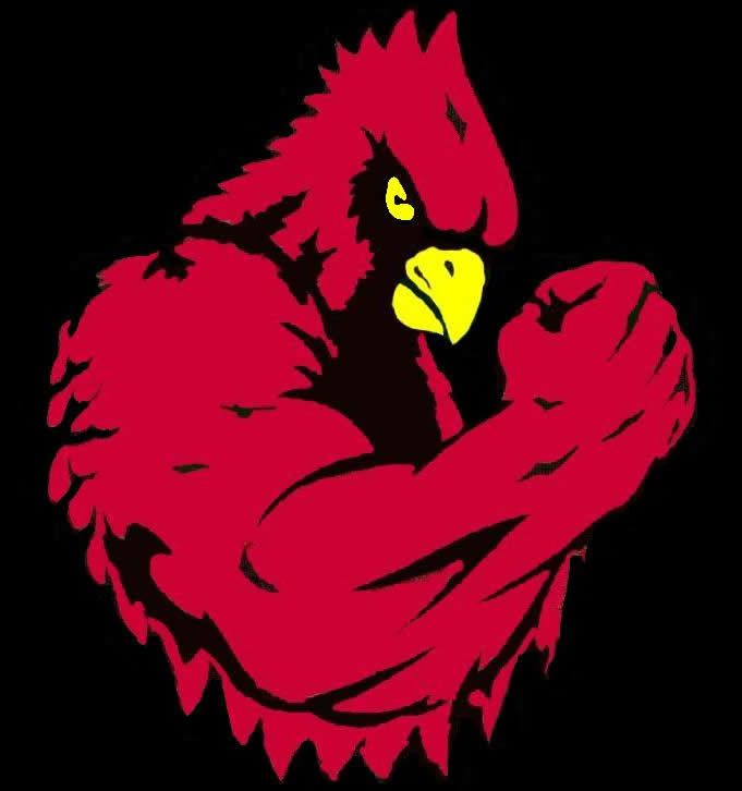 images Fighting Cardinal Clipart clipart library