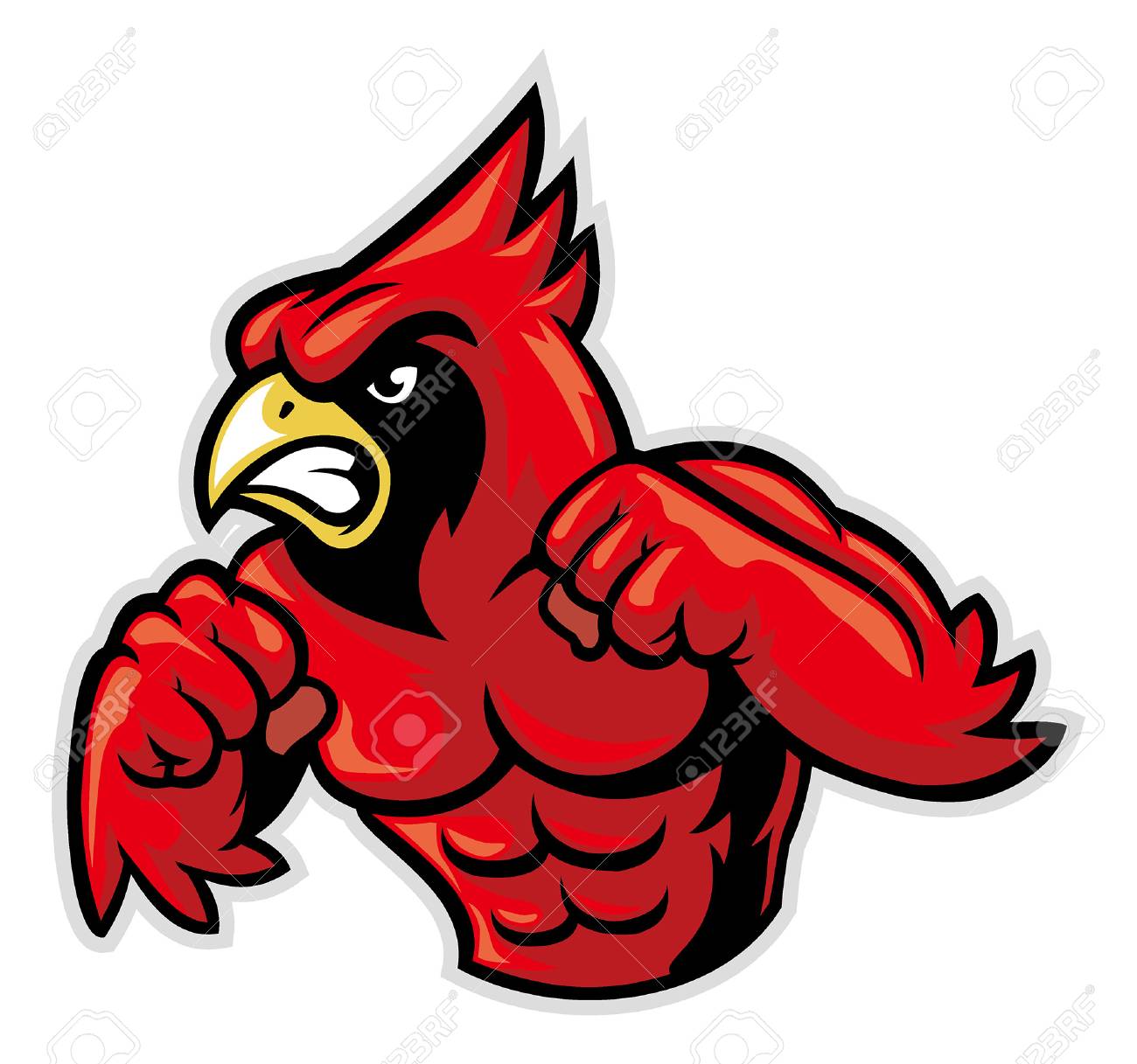 photo Fighting Cardinal Clipart clipart library