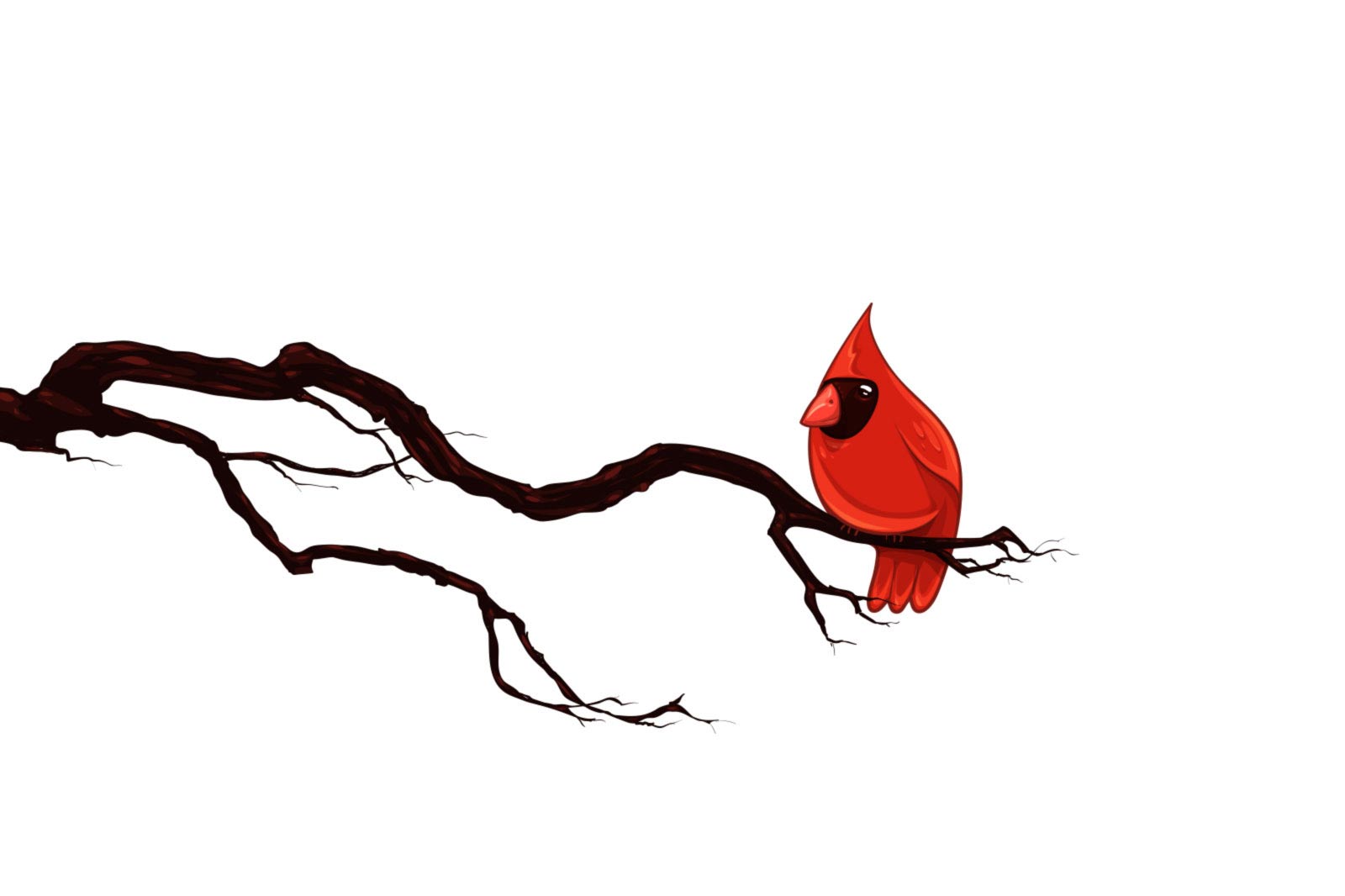 pics Fighting Cardinal Clipart cardinal football clipart at