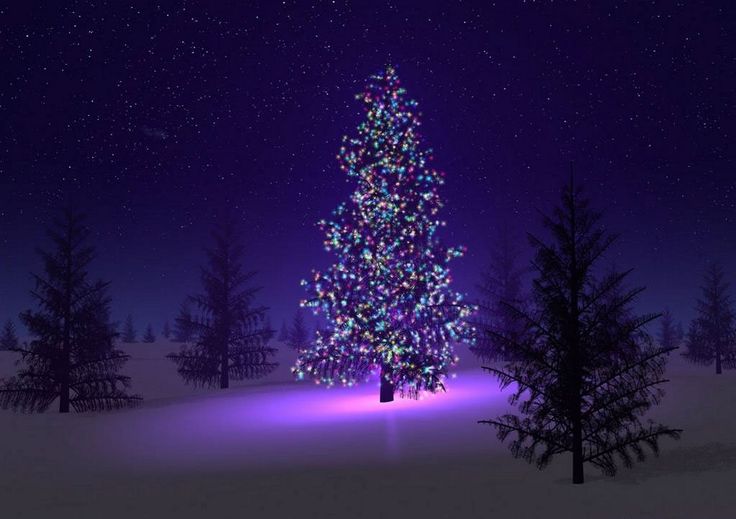 pics Free Animated Clipart For Christmas animated christmas clipart