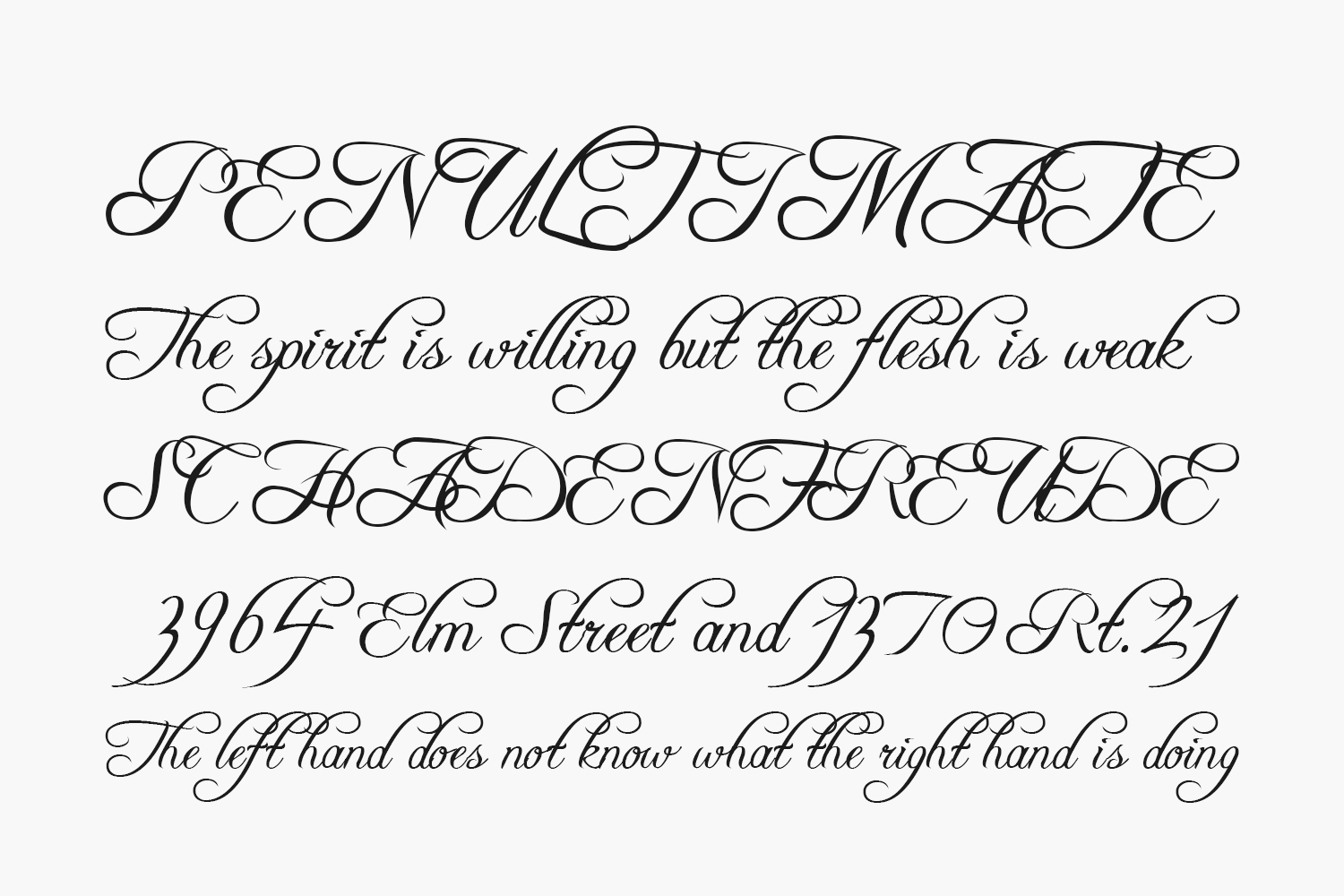 pics Freebooter Script Free Download free font freebooter script by