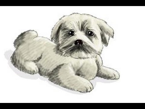 pic Furry Dog Drawing dog drawing furry fandom png