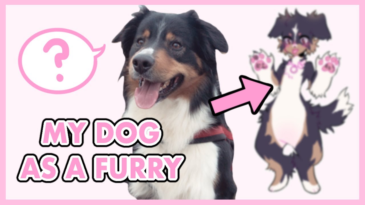 images Furry Dog Drawing how to draw a furry dog drawingnow