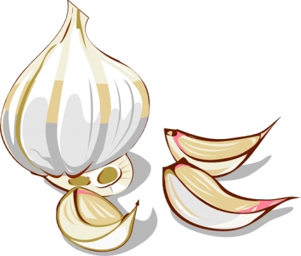 pics Garlic Clove Clip Art clipart library