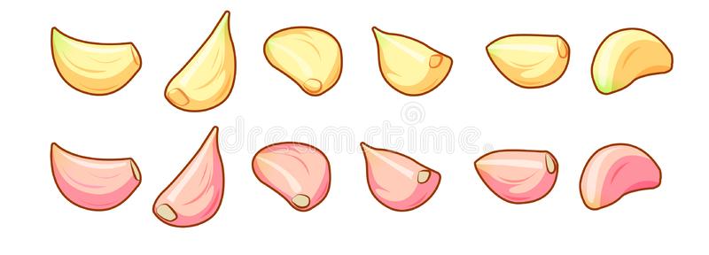 pix Garlic Clove Clip Art garlic cloves clip art royalty free