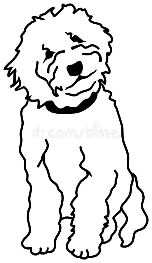 picture Goldendoodle Clipart dreamstime com