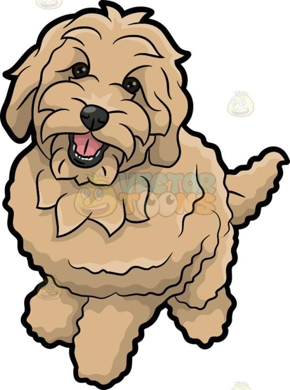 pic Goldendoodle Clipart clipart library
