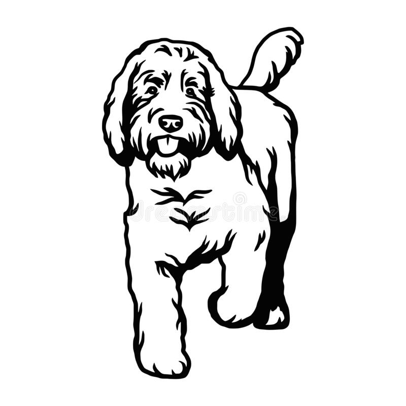 pic Goldendoodle Clipart goldendoodle png file goldendoodle clipart goldendoodle etsy