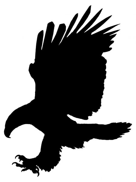 pic Halcon Dibujo como lograr negros negros en tus dibujos halcon peregrino como dibujar