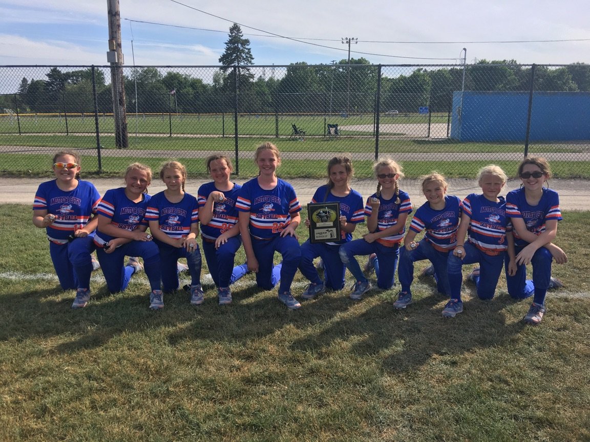 pic Hit Dogs Softball team 12u motor city hit dogs softball
