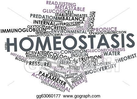 picture Homeostasis Clipart dreamstime com