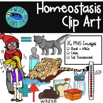 pix Homeostasis Clipart scale clipart homeostasis scales of