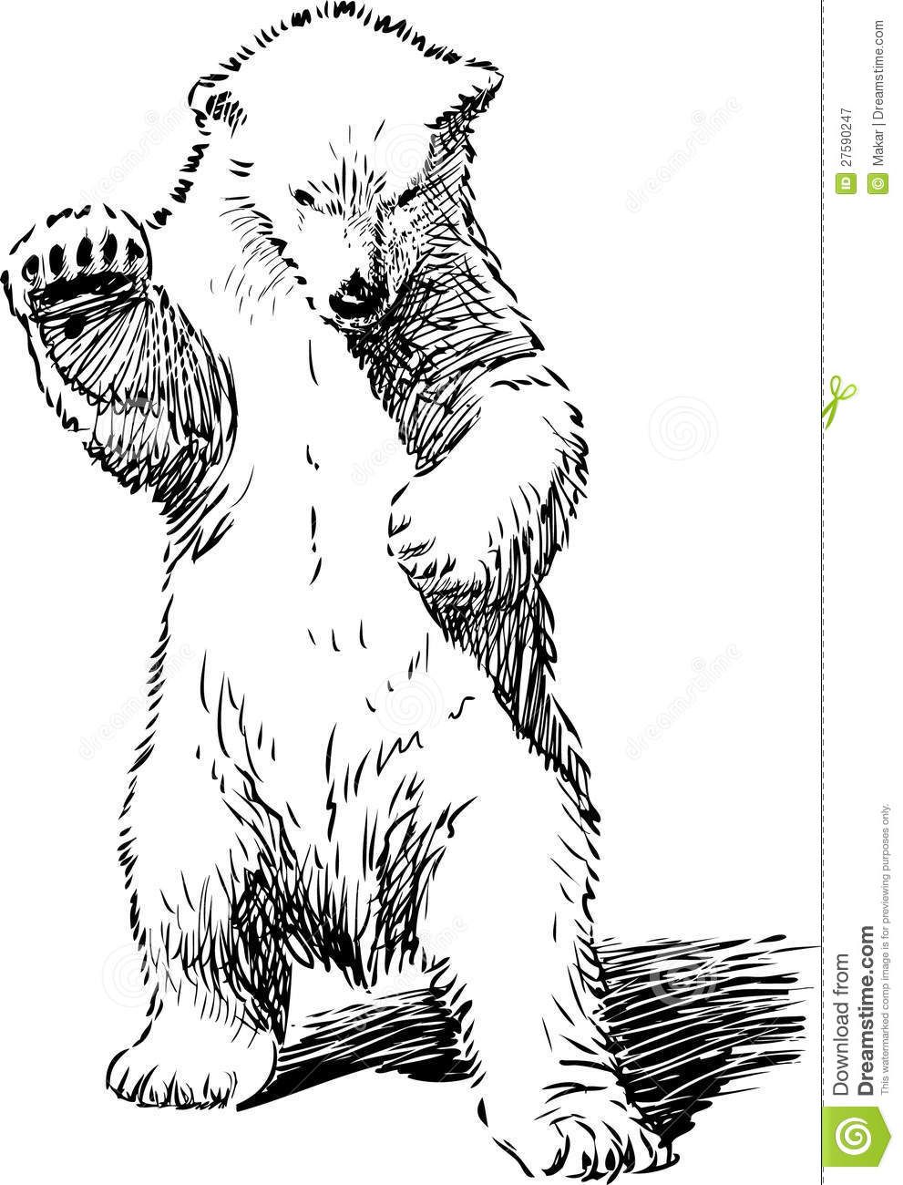 picture How To Draw A Bear Standing Up how to draw a grizzly bear standing up