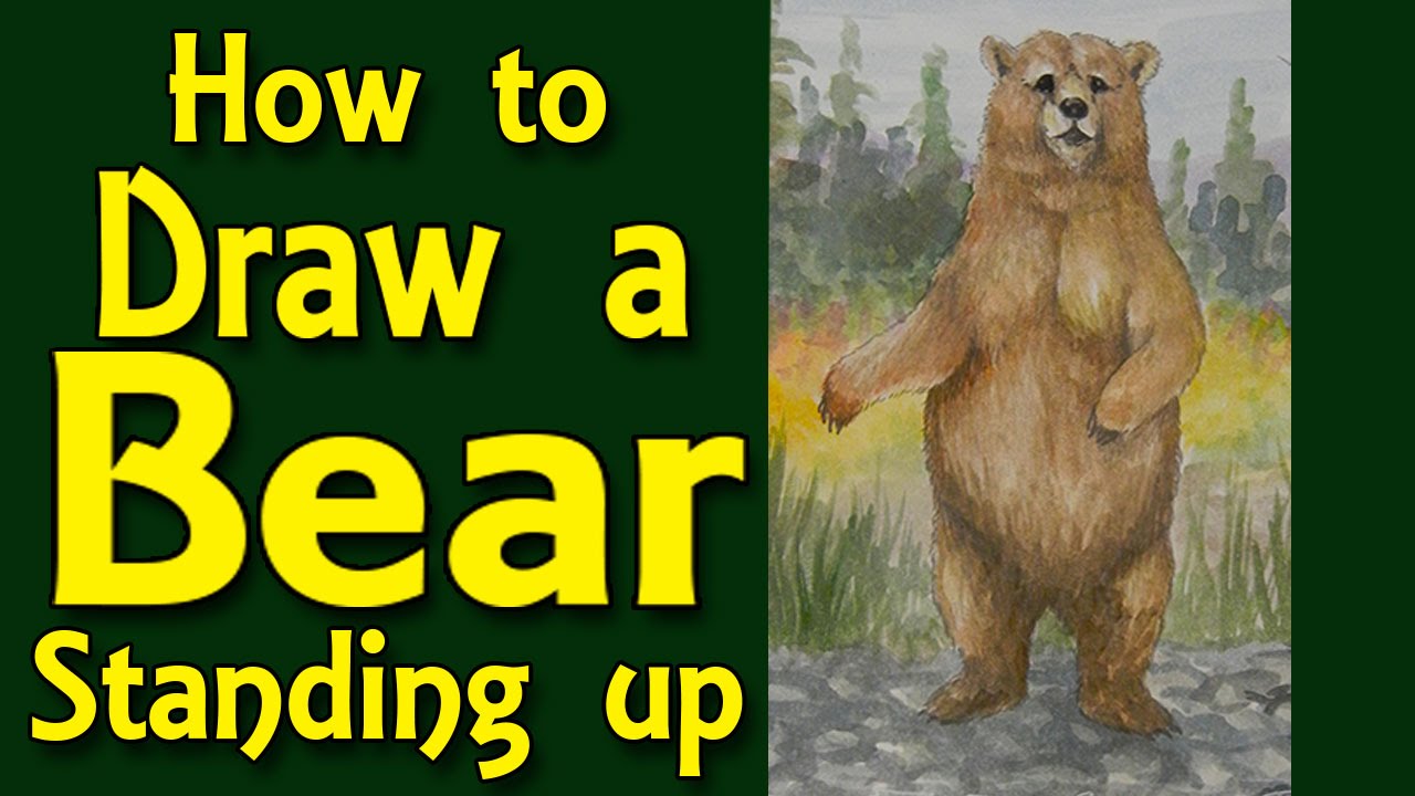 pics How To Draw A Bear Standing Up how to draw a standing bear art