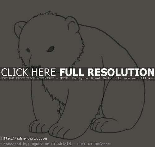images How To Draw A Polar Bear Cub Step By Step polar bear cub watercolor print