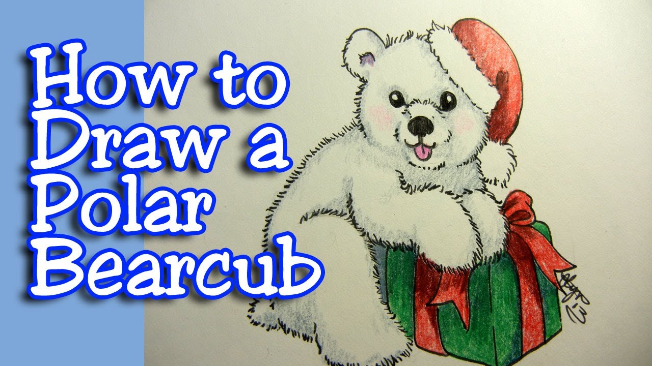picture How To Draw A Polar Bear Cub Step By Step polar bear drawing baby polar bears