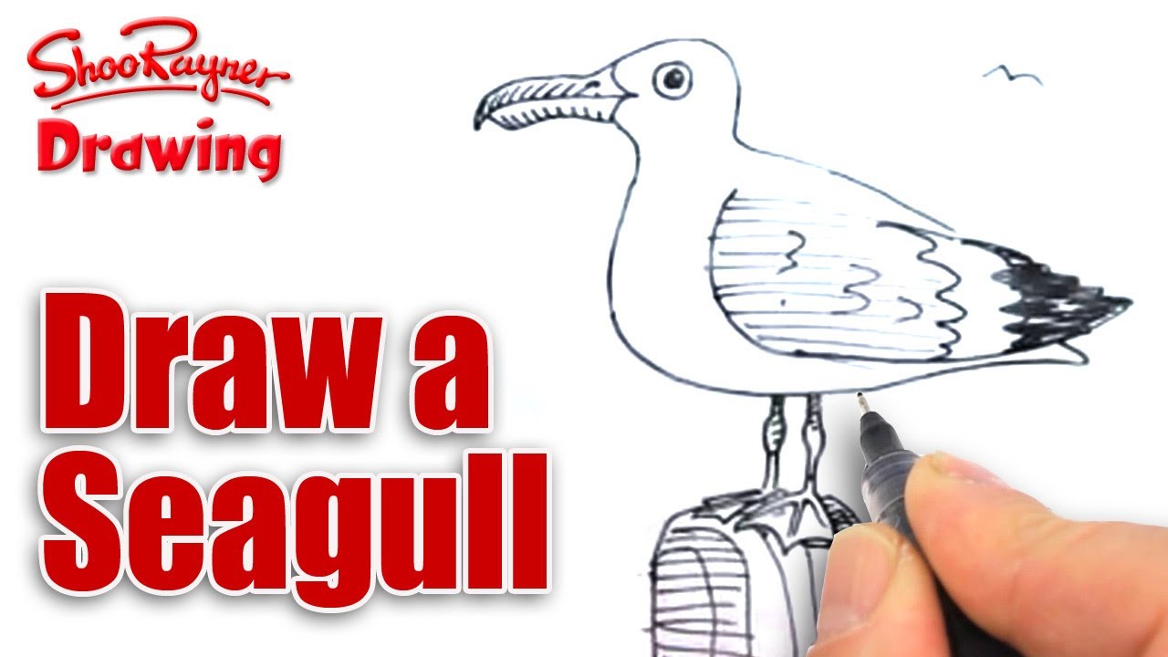pix How To Draw A Seagull Step By Step draw a seagull art projects for kids